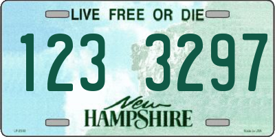 NH license plate 1233297