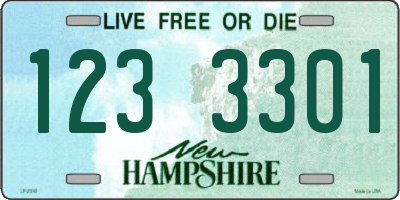 NH license plate 1233301
