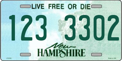 NH license plate 1233302