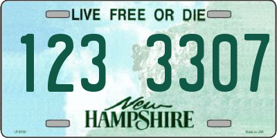 NH license plate 1233307