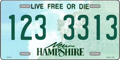 NH license plate 1233313