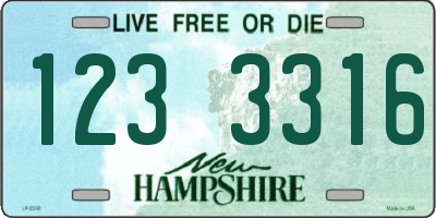 NH license plate 1233316