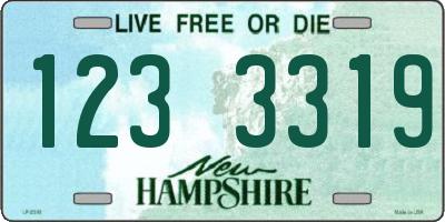 NH license plate 1233319