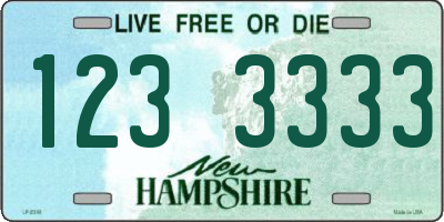 NH license plate 1233333