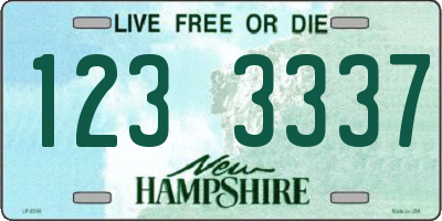 NH license plate 1233337