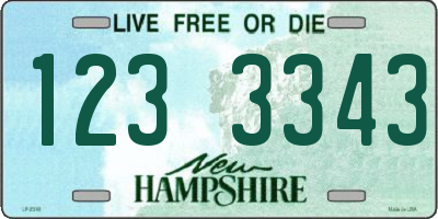 NH license plate 1233343