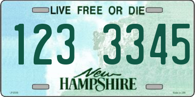 NH license plate 1233345