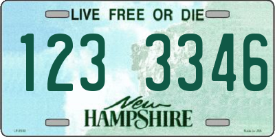 NH license plate 1233346
