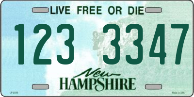 NH license plate 1233347