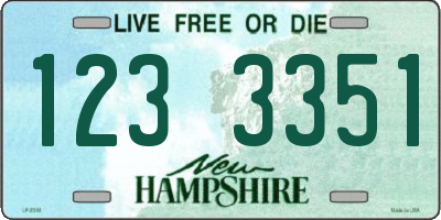 NH license plate 1233351