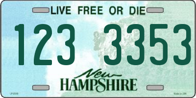 NH license plate 1233353