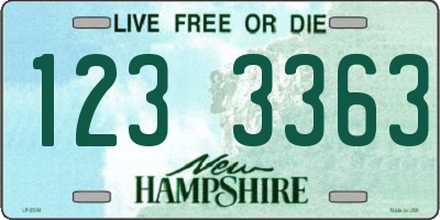 NH license plate 1233363