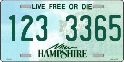 NH license plate 1233365