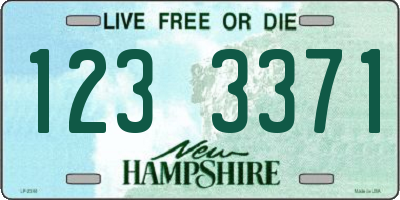 NH license plate 1233371