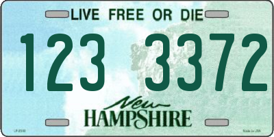 NH license plate 1233372