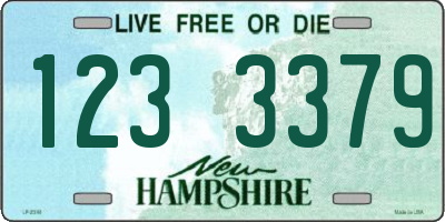 NH license plate 1233379
