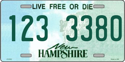 NH license plate 1233380