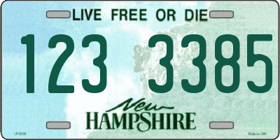 NH license plate 1233385