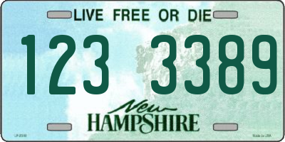 NH license plate 1233389
