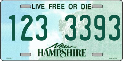NH license plate 1233393