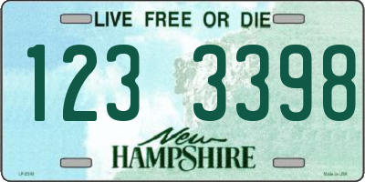 NH license plate 1233398