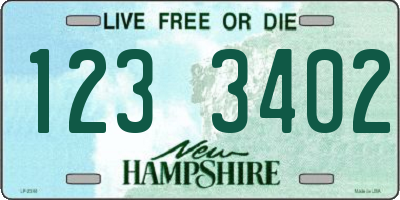 NH license plate 1233402