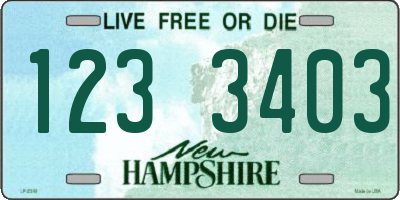 NH license plate 1233403