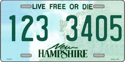 NH license plate 1233405