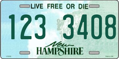 NH license plate 1233408
