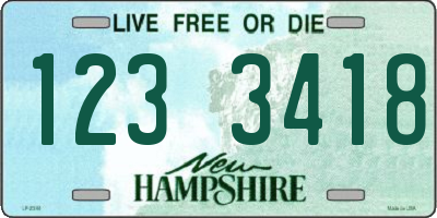 NH license plate 1233418