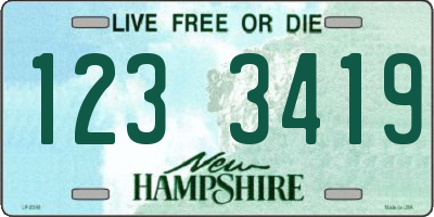 NH license plate 1233419