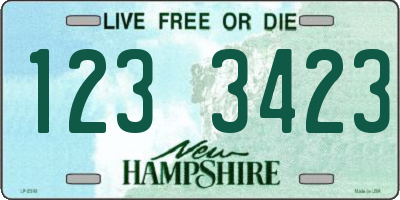 NH license plate 1233423