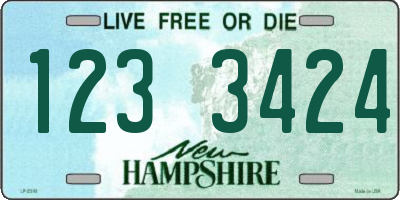 NH license plate 1233424