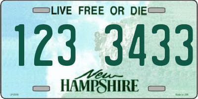NH license plate 1233433