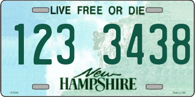 NH license plate 1233438