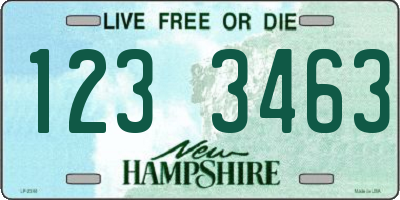 NH license plate 1233463