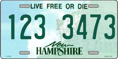 NH license plate 1233473