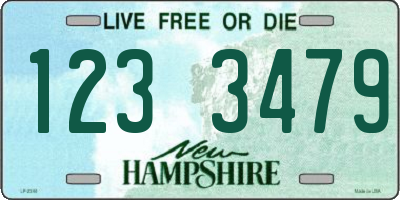 NH license plate 1233479