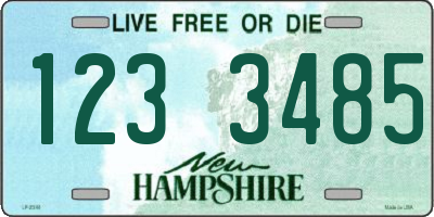 NH license plate 1233485