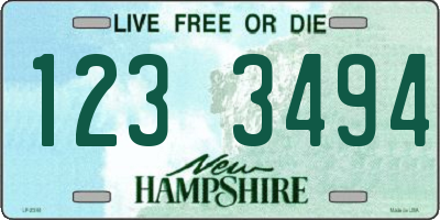 NH license plate 1233494