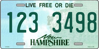 NH license plate 1233498