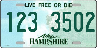 NH license plate 1233502