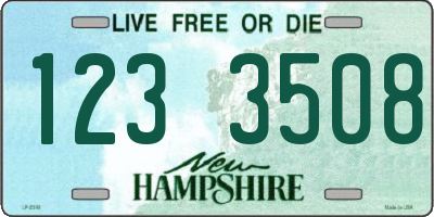 NH license plate 1233508