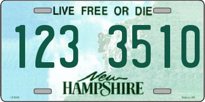 NH license plate 1233510