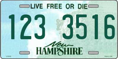 NH license plate 1233516