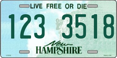 NH license plate 1233518