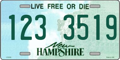 NH license plate 1233519