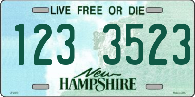 NH license plate 1233523