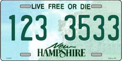 NH license plate 1233533