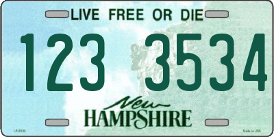 NH license plate 1233534